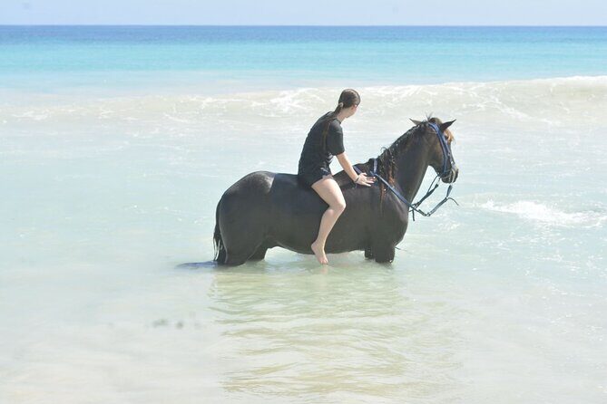 Want to Learn to Gallop at Bavaro Punta Cana Beach! - Price and Value: Why $65.95 Can Make Sense for This Route