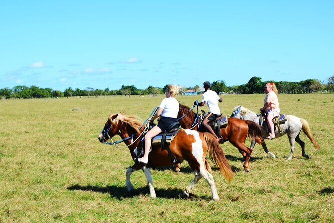 Want to Learn to Gallop at Bavaro Punta Cana Beach! - Who Should Book This Horseback Tour (and Who Should Skip It)