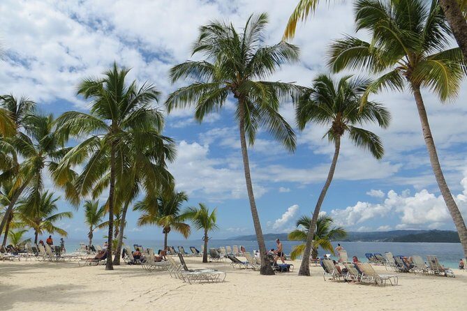 Whale Watching and Bacardi Island day trip from Punta Cana - Small-group feel without being tiny: what 99 travelers means