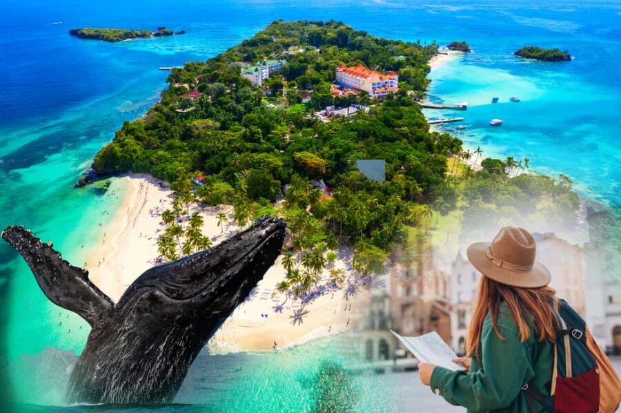 Whale Watching + Cayo Levantado - Timing and Day-Plan Reality: 8:30 AM Out, Around 4:30 PM Back