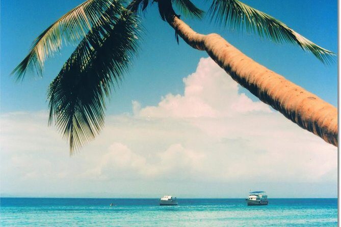 Whale Watching in Samana - Cayo Levantado (Bacardi Island): Lunch, Shade, and Reset Time