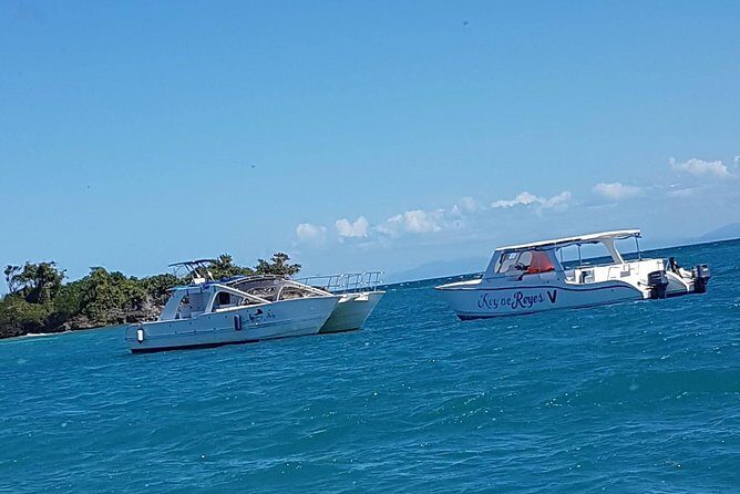 Whale Watching in Samana - What You Eat and Drink: Included Buffet Lunch, No Drinks