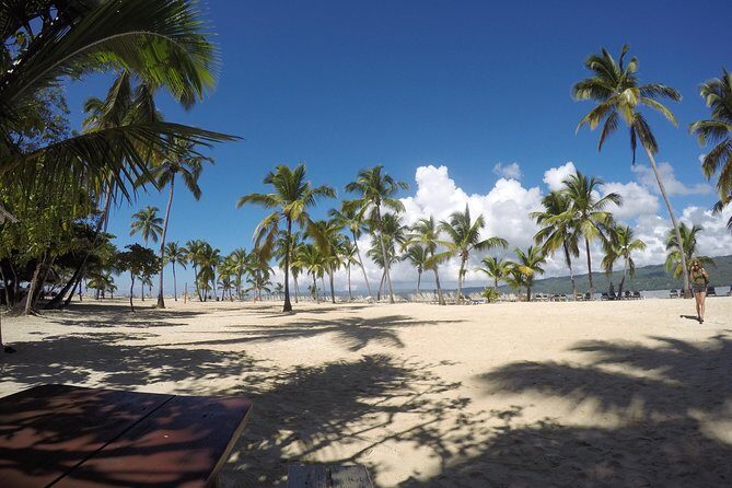 Whale Watching in Samana - Duration and Rhythm: How This Fits a Full Day (and Who It Suits)