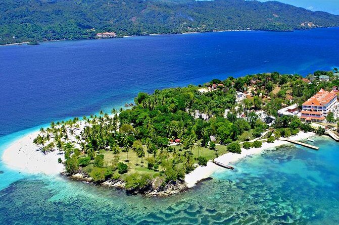 Whale Watching in Samana - Price and Value: Is $132.31 a Smart Deal?