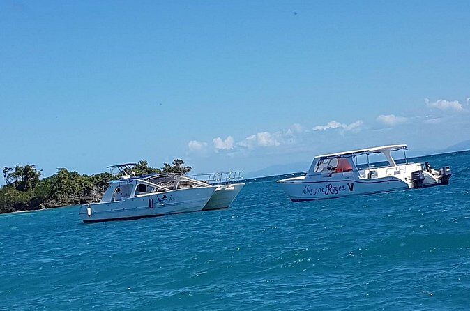 Whale Watching in Samana - Practical Tips That Make the Whole Day Smoother
