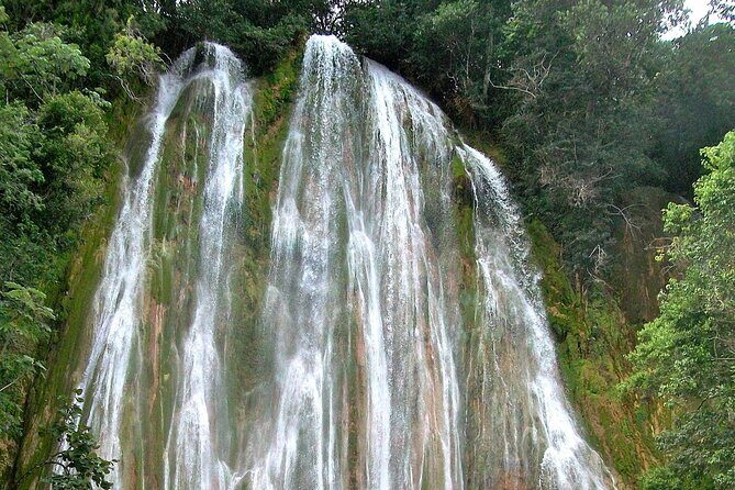Whale Watching & Limón Waterfall Day Trip - Who Should Book This Trip (and Who Should Rethink It)