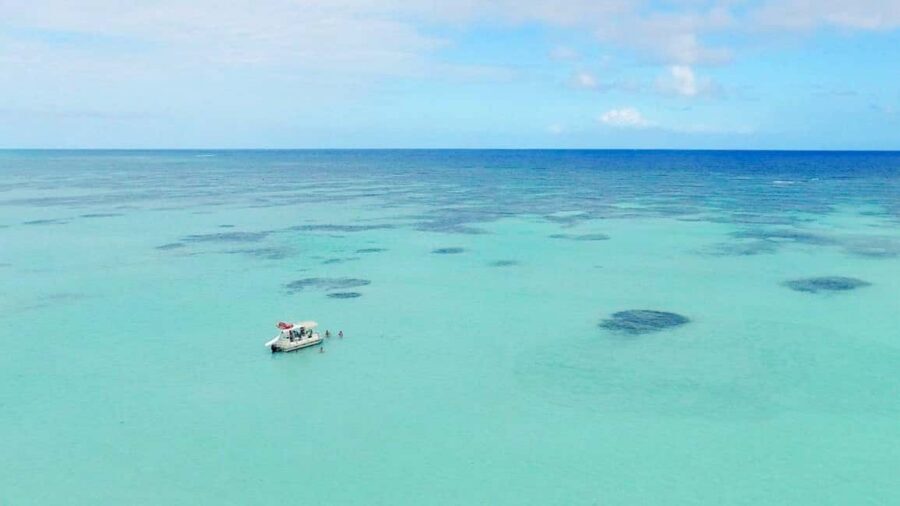 Wild On Punta Cana: Cruise with Snorkeling Half Day - Price and value: is $119 worth it?