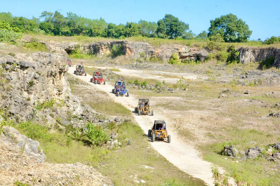 Wild Tiger Buggy: The Best Buggy Excursions in Punta Cana - The ranch tasting: chocolate, coffee, mamajuana, cigars