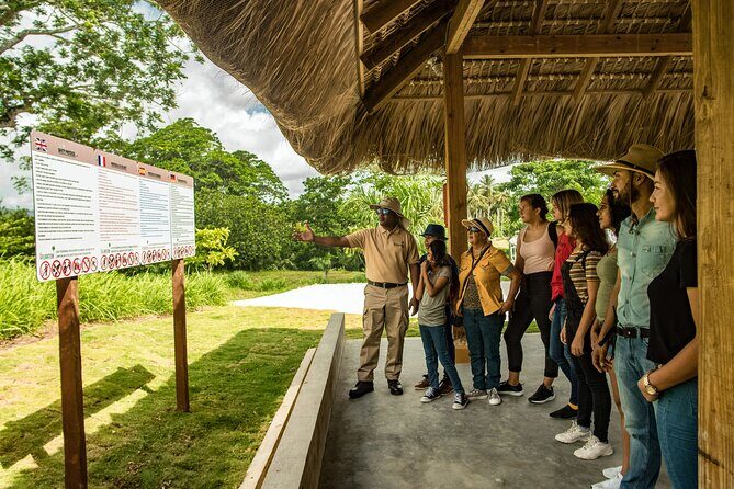 Xploration Animal Encounters Half Day Tour from Punta Cana - Animal encounters in the Dominican Republic: what you should expect to see