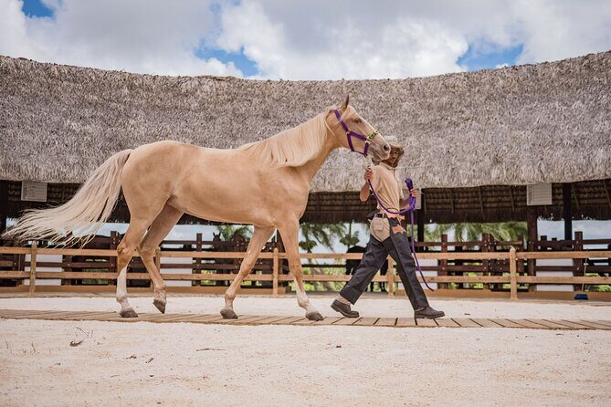 Xploration Animal Encounters Half Day Tour from Punta Cana - Lunch, drinks, and the real value of $90 per person