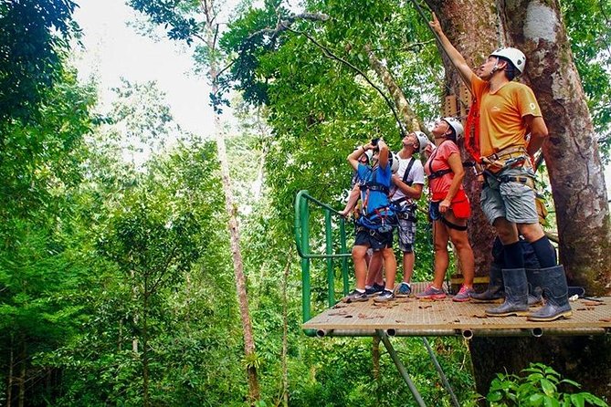Zip Line - Half Day Adventure - Flying the Circuit: 6 Lines, a Himalaya Bridge, and Cable Mega Splash