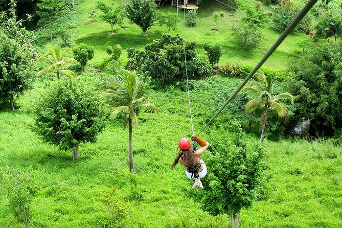 Zip Line in Punta Cana - Your Choice Point: Coffee and Cocoa vs. Straight to Adventure