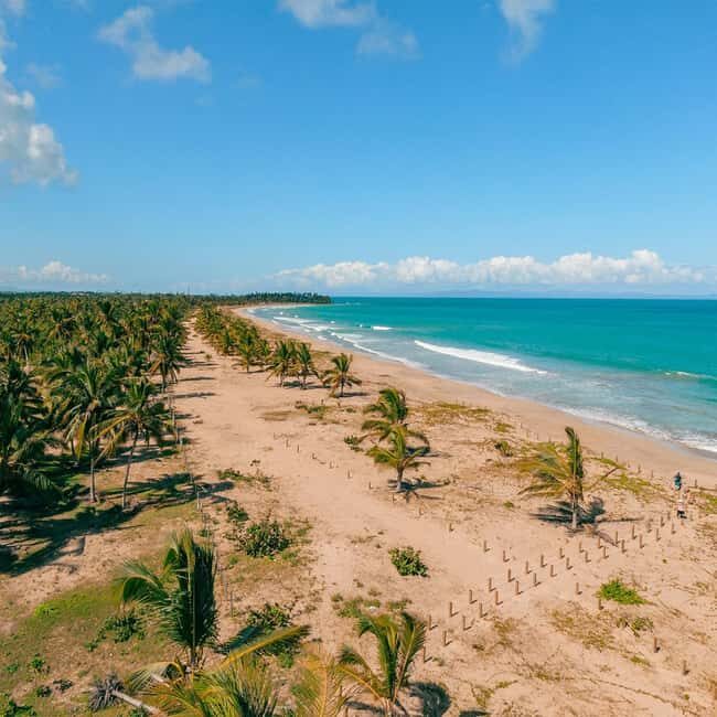 Zip Line Playa Esmeralda With Redonda Mountain - Lunch Break: Dominican Food Mid-Tour