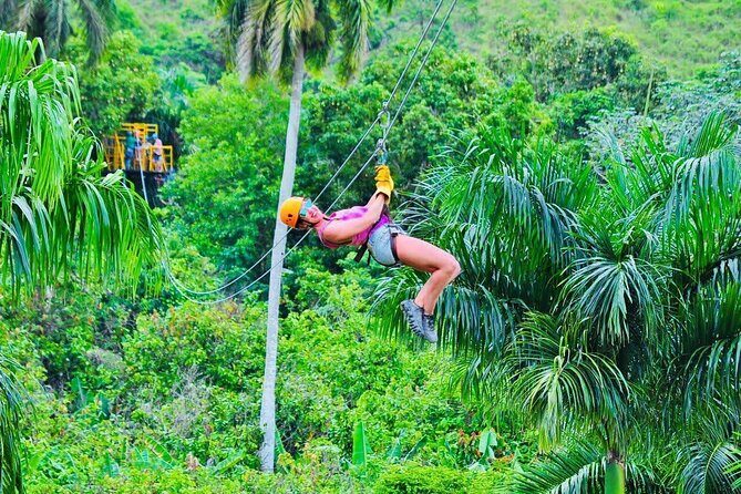 Zipline, Horse, Buggy and Macao Beach, Water Park with Lunch - Organic farm tastings: coffee and green tea, with real local flavor