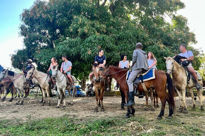 Zipline,Dune Buggy,Horse Riding - Price value at $70 and the photo-picture reality check