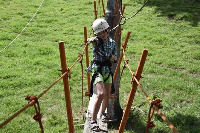 Ziplining from Punta Cana - Unique Carbon Fiber lines in Punta Cana - Flying Up to 60 Feet: Panoramic Jungle Views That Change Your Perspective